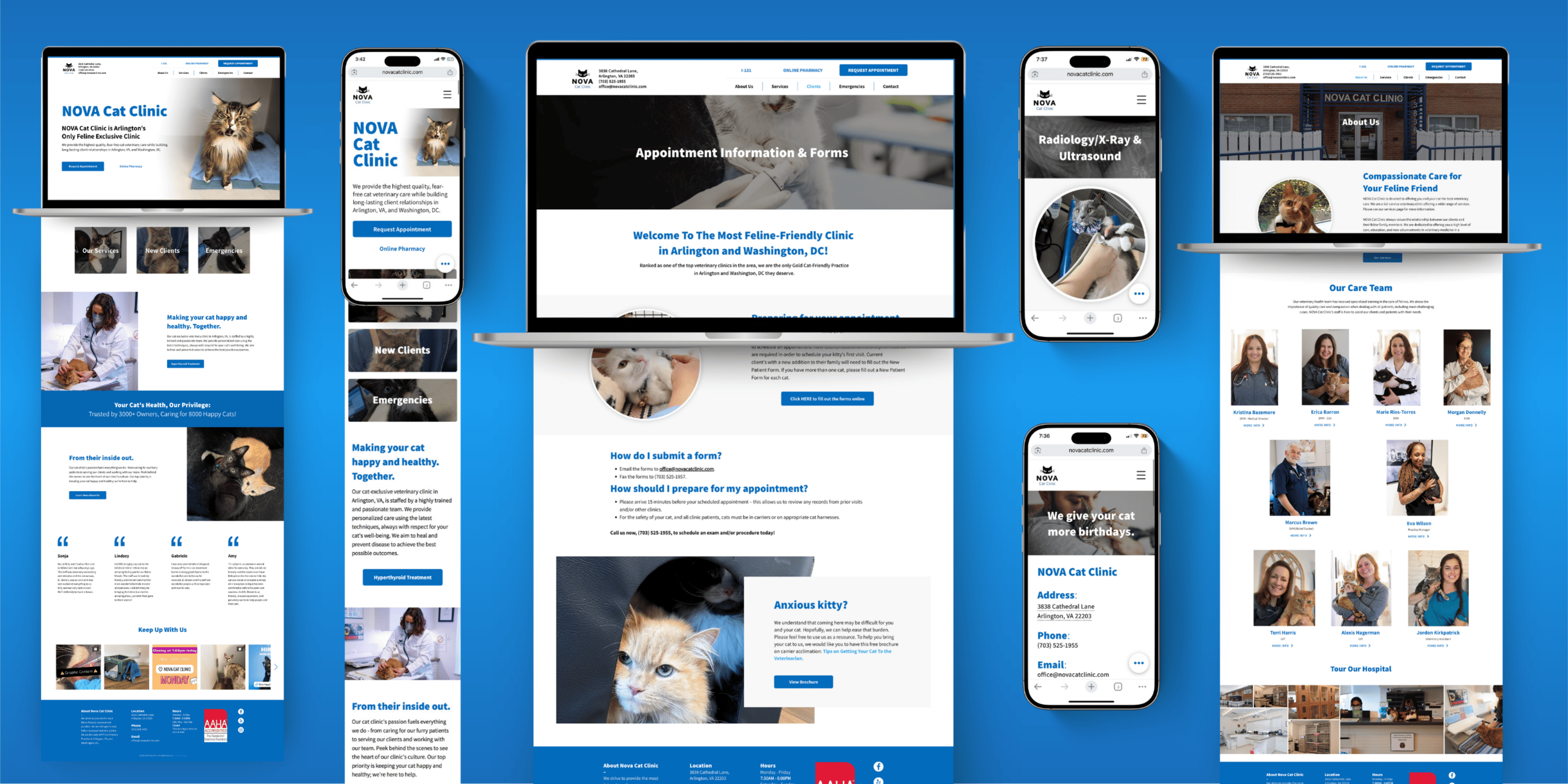 Nova Cat Clinic redesigned website shown across desktop, laptop, tablet, and mobile with consistent blue brand identity