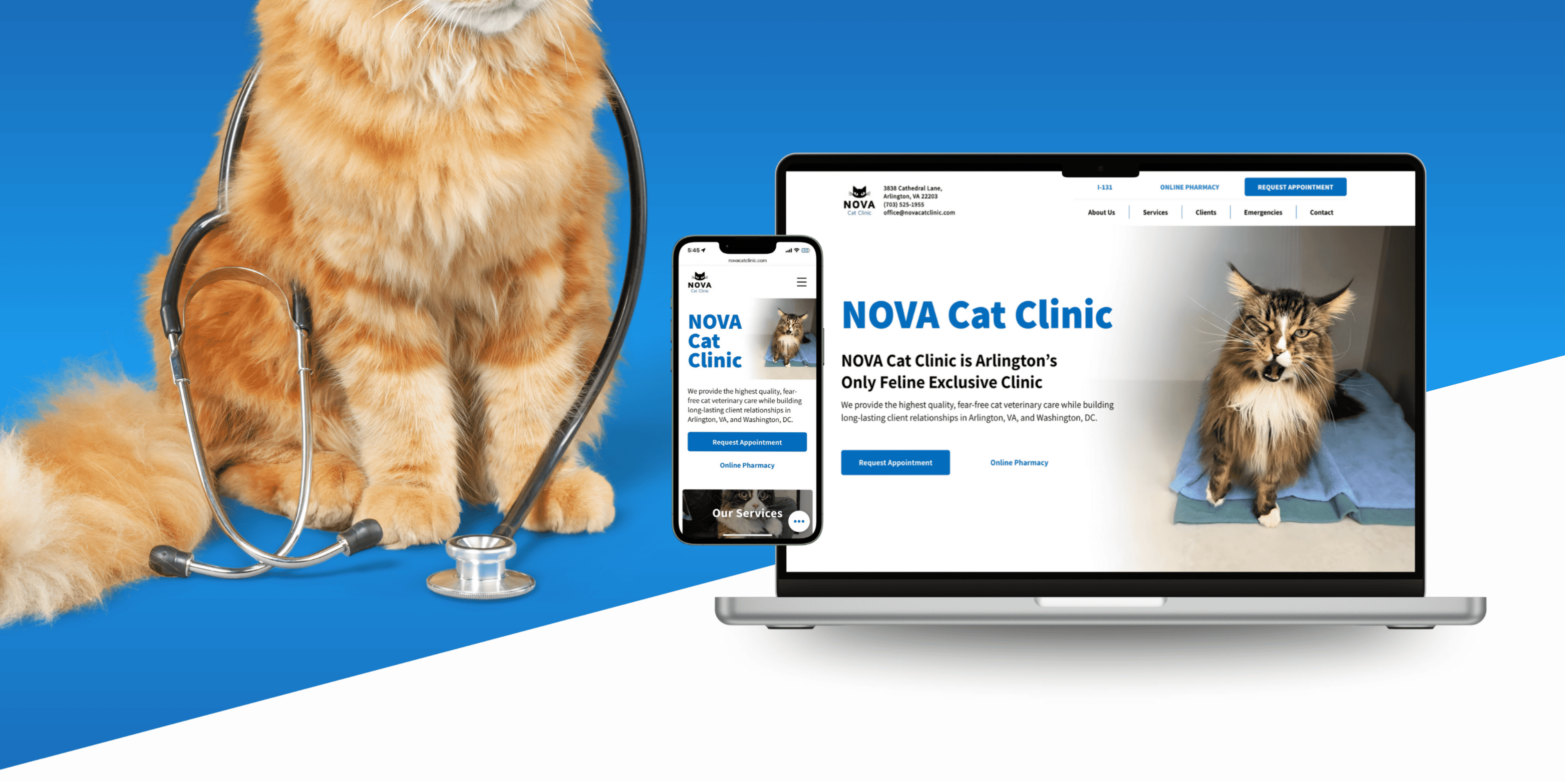 Nova Cat Clinic website shown across desktop, laptop, and mobile devices with a cat wearing a stethoscope